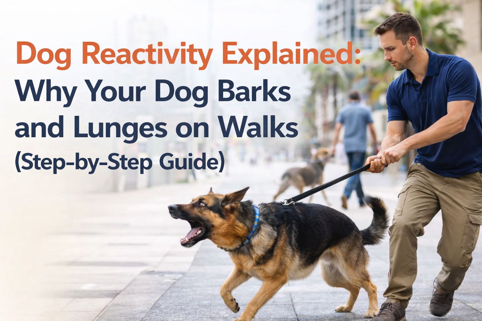 Dog Reactivity Explained: Why Your Dog Barks and Lunges on Walks