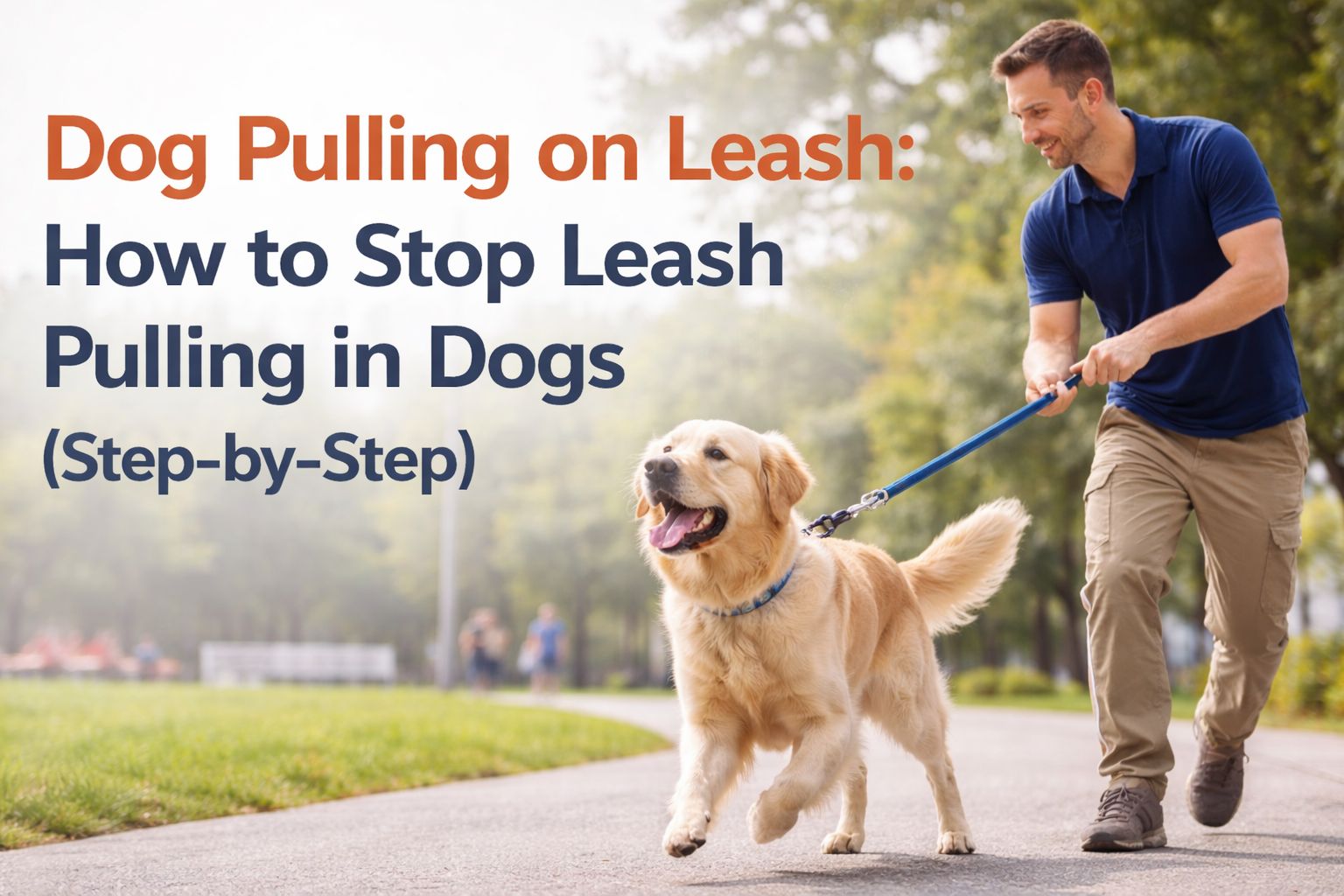 Dog Pulling on Leash: How to Stop Leash Pulling in Dogs (Step-by-Step)